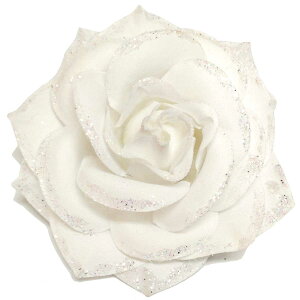 yGg[Ń|Cg5{z[Y RT[W z  ^ꂵɂ ӂ Vv 9cm   6L  fB[X tH[} Ǝ  w X[c }} ct wZ 