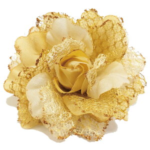 yGg[Ń|Cg5{z RT[W  bV  I[KW[ 8cm  Jt  u[` 6m |Cg FႢ fB[X tH[} Ǝ  w 