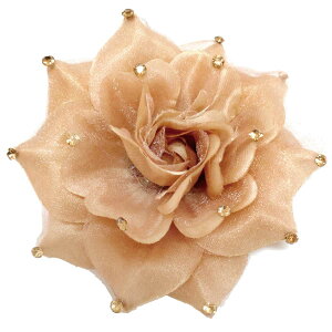 yGg[Ń|Cg5{zS[WX PRT[W 炫  CXg[ Ȃ Vv 6w fB[X tH[} Ǝ  w X[c }} \  c