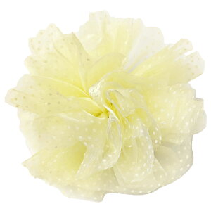 yGg[Ń|Cg5{z傫 ||  ӂӂ   ACh _X \ |bvȐ  6y VtH hbg fB[X hX  Xe[W ߑ RT[