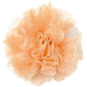 yGg[Ń|Cg7{z傫 ||  ӂӂ   ACh _X \ |bvȐ  6y VtH hbg fB[X hX  Xe[W ߑ RT[