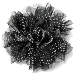 yGg[Ń|Cg7{z傫 ||  ӂӂ   ACh _X \ |bvȐ  6y VtH hbg fB[X hX  Xe[W ߑ RT[