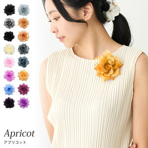 yGg[Ń|Cg5{zPRT[W  tH[}  AvRbg 4D-25 |Cg  ܂Ƃߔ  fB[X Ǝ  w X[c ct wZ e 