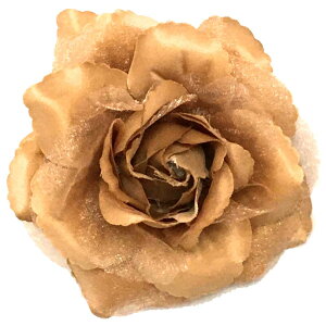 yGg[Ń|Cg5{z傫 VvRT[W  ^ꂵɂ I[KW[ n wANbvt 6n z  傫TCY v fB[X tH[} Ǝ  w