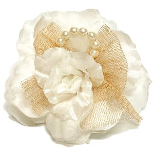 yGg[Ń|Cg5{zRT[W  P VCj[ bV{p[  P LL 8x fB[X tH[} Ǝ  w X[c e ct 