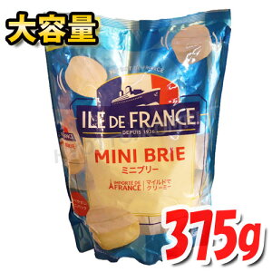 ILE DE FRANCE ~ju[ `[Y 15 eʁIN[~[Ȗ킢 N[`[Y tXY َq  fU[g [Ⓚ]  [5]