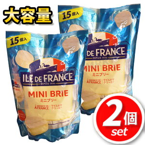 2ZbgILE DE FRANCE ~ju[ `[Y 15 eʁIN[~[Ȗ킢 N[`[Y tXY َq  fU[g [Ⓚ]  [5]