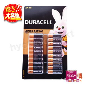 yP3drzfZ DURACELL AJ P3dr dr sgp  10Nۑ\ ~ h RXgR eʁm40{n [1]