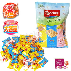 yRXgR Ieʁz[J[~j[Y@T}[~bNX EGn[X (800g) EGn[X3 oj  Yx[[Og  RXgR e  [08]