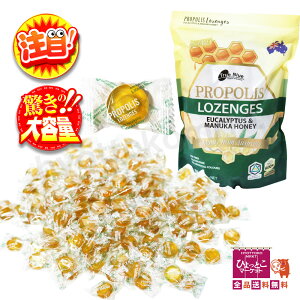 True Blue v|X [J}kJnj[ ̂ǈ MGO 600+800g Oet[ sgp e RXgR  [12]