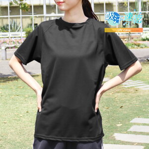 X|[cEFA fB[X gbvX hC TVc  z UVPA  ̎q JmR W EFA tBbglX jO d St ejX EH[LO ێ 傫TC