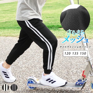 WK[pc 2{C LbY WjA bV hC X|[cEFA W[W X|[c TChC C ̑ q X|[c~bNX _X Y{ j̎q ̎q  