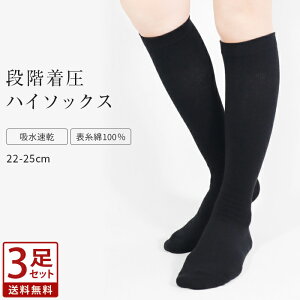 3Zbg nC\bNX iK  \100 ȍ z u҂ u C  \bNX  ubN n Zbg ʋ ʊw XN[ w ItBX 22cm 23cm 24cm 25cm z 