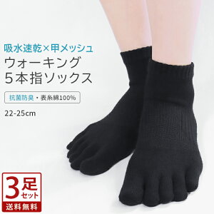 3Zbg 5{w\bNX EH[LO bbV tBbglX\bNX 5{w \bNX RۖhL z V[g  Rbg ȍ C 5{wC ^p X|[c\bNX bV 