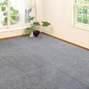 カーペット ラグ 国産 4.5畳 286×286cm 本間 京間 抗菌 防臭 オールシーズン 無地 ホットカーペット対応 ラグマット ペット対応 爪 猫 犬 セルフカット フリーカット 裏加工 大判 四畳半 / カット