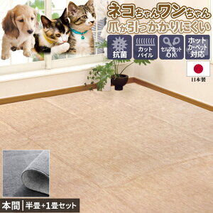 J[ybg O Y  1Zbg 95×95cm 95×191cm {  R hL I[V[Y n zbgJ[ybgΉ O}bg ybgΉ  L  ZtJbg t[Jbg H 唻