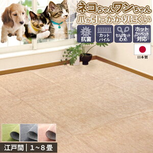 J[ybg O Y 6 261×352cm ]ˊ R hL I[V[Y n zbgJ[ybgΉ O}bg ybgΉ  L  ZtJbg t[Jbg H Z / JbgpC /