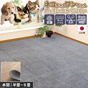 J[ybg O Y 8 382×382cm {  R hL I[V[Y n zbgJ[ybgΉ O}bg ybgΉ  L  ZtJbg t[Jbg H 唻  / Jbgp