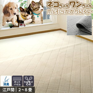 J[ybg O ybg 352×352cm 8 { ]ˊ L R JbgpC I[V[Y n _C zbgJ[ybgΉ O}bg  L  ZtJbg t[Jbg O~ 