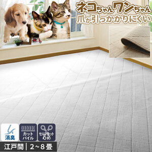 J[ybg O ybg 261×352cm 6 { ]ˊ L R JbgpC I[V[Y n _C zbgJ[ybgΉ O}bg  L  ZtJbg t[Jbg O~ 