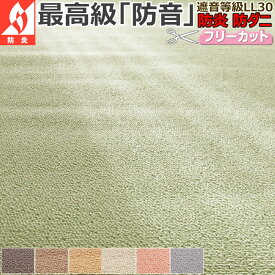 カーペット ラグ 国産 1畳 88×176cm 江戸間 防音 防炎 遮音 LL30 防ダニ 消臭 抗アレルゲン 丸巻き 光触媒 クリーン ホットカーペットカバー 耐摩耗性 床暖対応 遊び毛ほぼ無し 埃が出にくい 喉 呼吸器系に優しい 健康 長方形 アイコン 一畳 / ウェルネスbt /