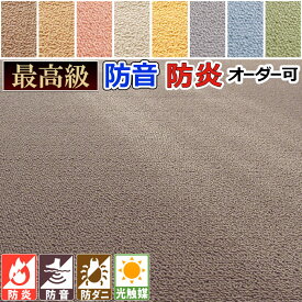 カーペット ラグ 国産 8畳 352×352cm 江戸間 防音 防炎 遮音 LL30 防ダニ 消臭 抗アレルゲン 丸巻き 光触媒 クリーン ホットカーペットカバー 耐摩耗性 床暖対応 遊び毛ほぼ無し 埃が出にくい 喉 呼吸器系に優しい 健康 長方形 アイコン 八畳 / ウェルネスbt /