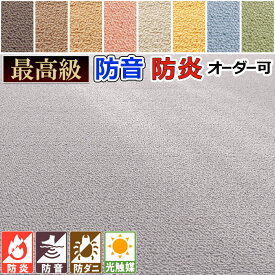 カーペット ラグ 国産 4.5畳 261×261cm 江戸間 防音 防炎 遮音 LL30 防ダニ 消臭 抗アレルゲン 丸巻き 光触媒 クリーン ホットカーペットカバー 耐摩耗性 床暖対応 遊び毛ほぼ無し 埃が出にくい 喉 呼吸器系に優しい 健康 長方形 アイコン 四畳半 / ウェルネスbt /