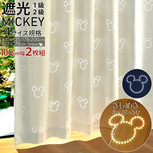 J[e h[v Ռ 100cm×135cm 2g fBYj[J[e fBYj[ LN^[ ~bL[ ~bL[}EX 킢   Y  AC{[ Ռngp 1 􂦂 