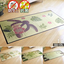 楽天市場】ラグ パキラの通販