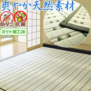  J[ybg O 1 87×174cm  SU a I[_[ JbgH J[ybg N[ h_j hJr R `  ACR yB/kC/ǉLz / C /