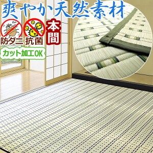  J[ybg O 4.5 286×286cm {  ֐  SU a I[_[ JbgH J[ybg N[ h_j hJr R l ACR yB/kC/ǉLz / C