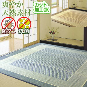 ���� ���O 4.5�� 261×261cm �I�[���V�[�Y�� ���� �S�U ���Ȃ� �h�_�j �R�� �h�J�r �G�H�� ������� �V�R�f�� ���R�f�� �z�b�g�J�[�y�b�g�Ή� ���g�Ή� �N�[�� �����` �����H���� �u�₩ �����΍�