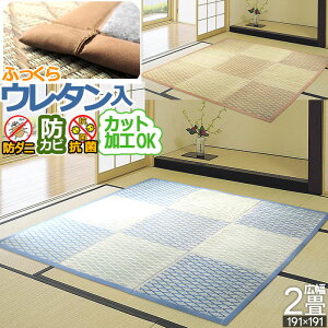  O 2 191×191cm {ԕ I[V[Y  SU h_j hJr R N[ {[ ӂ E^ VRf Rf ΍ V ėp  {[~[  ACR