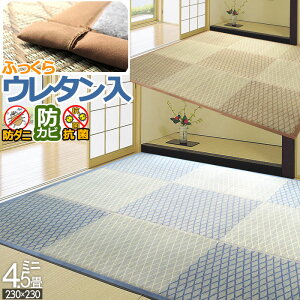 ���� ���O �~�j 4.5�� 230×230cm �I�[���V�[�Y�� ���� �S�U �h�_�j �h�J�r �R�� �N�[�� �{�����[�� �ӂ��� �E���^������ �V�R�f�� ���R�f�� �����΍� �V���� �ėp �� �{�����[�~�[ �l���� �A�C