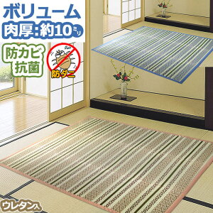  O  3 180×240cm I[V[Y  SU {[ ӂ N[ E^ XgCv ACR ėp  ` O yB/kC/ǉLz / nobel /