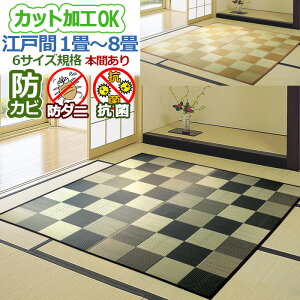  J[ybg O 4.5 261×261cm  SU I[_[ JbgH ubN  6TCYKi ėp  l ACR yB/kC/ǉLz / IG`FbN /