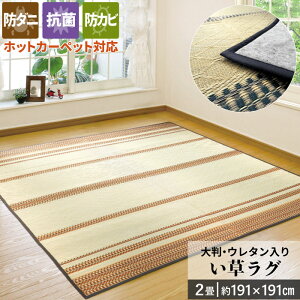 ���� ���O 2�� 191×191cm �I�[���V�[�Y�� ���n�t�� �A�E�g���b�g �l���� �ӂ��� �h�_�j �R�� �E���^������ �{�����[�~�[ �V�R�f�� �z�b�g�J�[�y�b�g�Ή� �N�[�� ���O�}�b�g �N�b�V������ ��