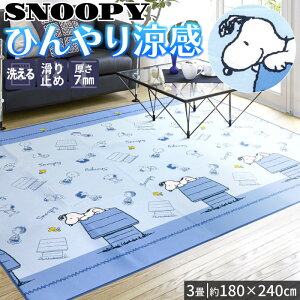 �⊴���O �􂦂� 3�� 180×240cm �X�k�[�s�[ ���O�}�b�g �ڐG�⊴ ������� �ėp �y�� / hy�X�k�[�s�[
