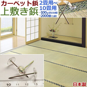 J[ybge Y 3p 20g 34×13mm ~e p~e ԂŒs ps   O J[ybg s e  NA ~ Œ ACR / ~e /