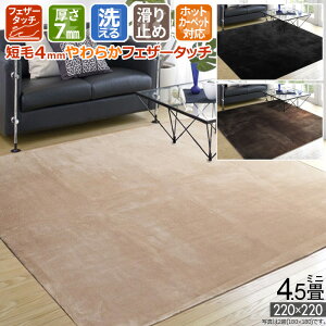 O ~j 4.5 220×220cm zbgJ[ybgΉ J[ybg zbgJ[ybgJo[ O}bg 􂦂 ~ x[W uE ubN ~  ł 炩 ` Hp 