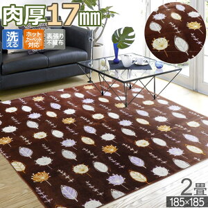 O 2 185×185cm Hp ~p 􂦂 zbgJ[ybgΉ J[ybg  zbgJ[ybgJo[ ~ _炩 E^ ӂ NbV  ` x[W O[ 