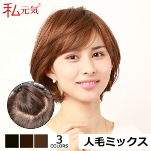 yԕiOKIzl tEBbO EBbO ~fBA ×pEBbO   ~ZX ʋC  CJH50M009