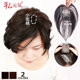 全国カット/返品OK【小面積 4×8cm】通気性 超軽量 夏用 分け目自由 人毛 総手植え 部分ウィッグ ヘアピース 白髪かくし つけ毛 トップカバー 頭頂部 薄毛対策 私元気 BHA48/BHADS48