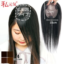 全国カット/返品OK【大面積 10×12cm】自然 通気性 分け目自由 人毛 総手植え 部分ウィッグ 15cm 25cm 30cm 35cm 40cm ポイントウィッグ 白髪かくし つけ毛 トップカバー リアル ナチュラル ヘアピース 頭頂部 広範囲カバー 白髪隠し 白髪カバー 薄毛対策 私元気 1012