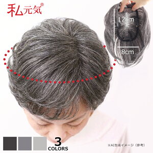 �y���ʐ� 8×12cm�z���� �����E�B�b�O 15cm �ʋC�� ���y�� �l�у~�b�N�X ����A�� �{�����[���A�b�v �O���C�w�A �w�A�s�[�X ���� �V���[�g ���� ���f�B�[�X ���� ���ё΍� BHA812-15-W40