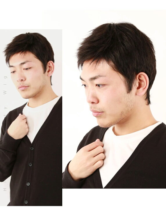 楽天市場】【返品交換OK！送料無料】ウイッグ メンズ 人毛 男性 かつら  