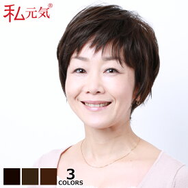 【返品交換OK！送料無料】人毛 医療用 ウィッグ ウィッグ ショート 人毛ウィッグ ボブ 女性 かつら フルウィッグ 人毛フルウィッグ ミセス 私元気 IU7162XH