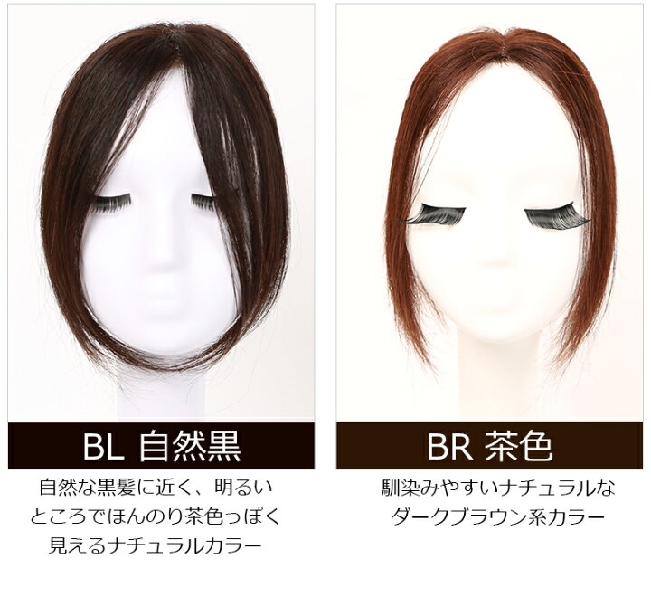 楽天市場】【返品交換OK！送料無料】人毛 部分ウィッグ【25cm】【楽天 