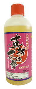  ͂ꑾY 500ml _knp