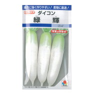タキイ種苗 ダイコン 種 緑輝 2dl